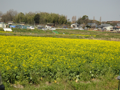 d0182075_4485010.jpg