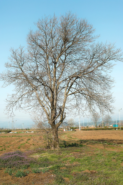 d0225575_14415166.jpg