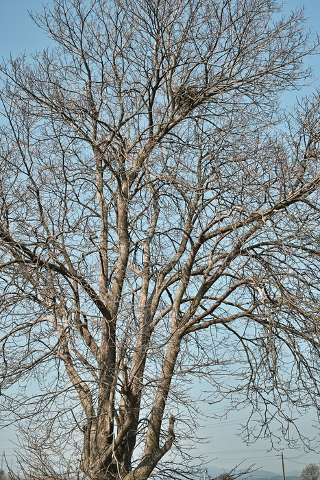 d0225575_14432955.jpg