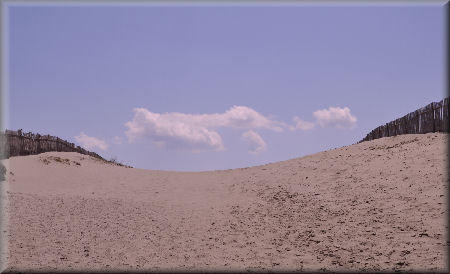 e0099375_22562927.jpg
