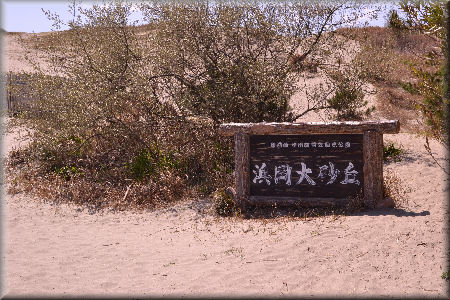 e0099375_2256871.jpg