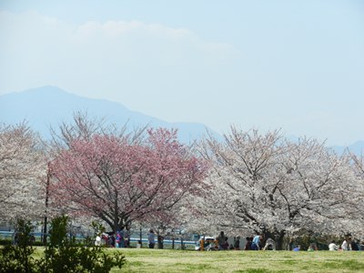 f0209878_21422014.jpg