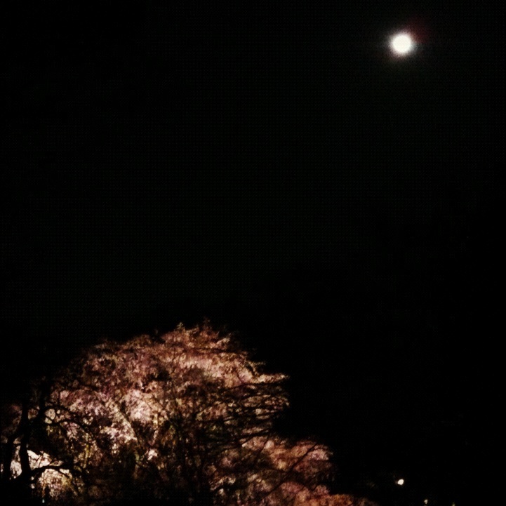 a0224279_12593846.jpg