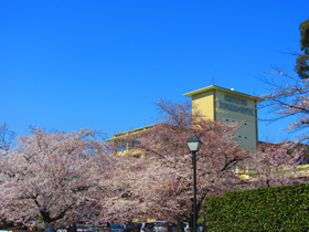 a0062983_9105338.jpg