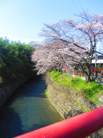 a0062983_985649.jpg