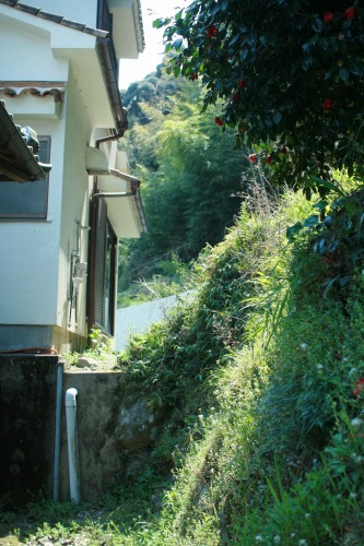 a0243388_1325173.jpg