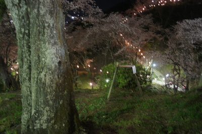 d0160488_23194267.jpg