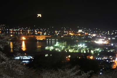 d0160488_2322612.jpg