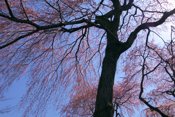 c0190391_2172975.jpg