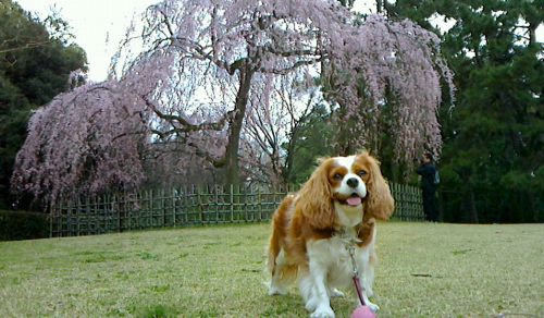 a0079292_17155920.jpg