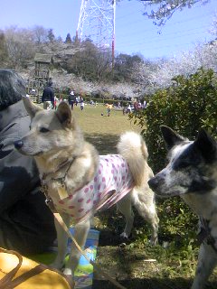 a0164292_14444210.jpg