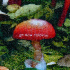 c0166293_138031.jpg