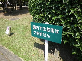 e0048994_4473218.jpg