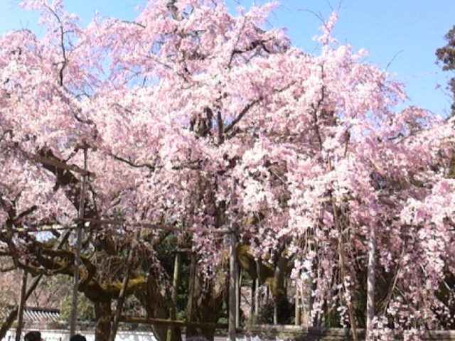f0083294_12255322.jpg