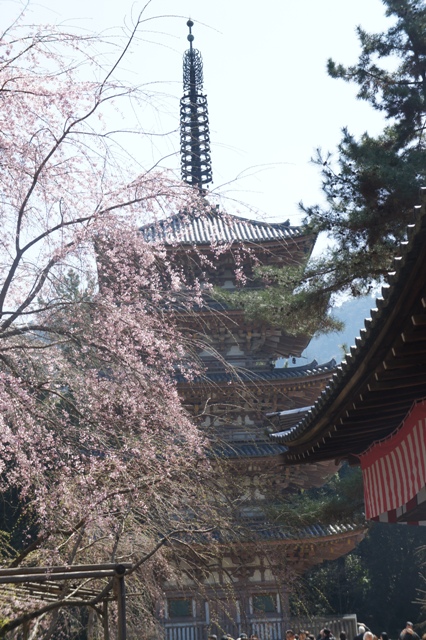 f0083294_1236664.jpg