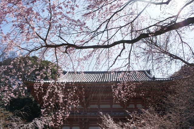 f0083294_1242888.jpg