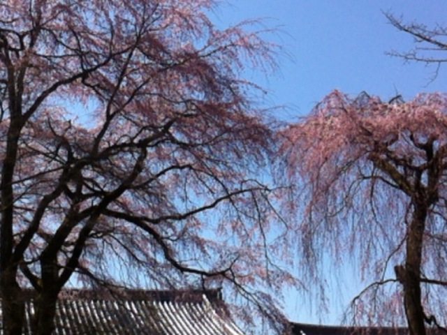 f0083294_1471296.jpg