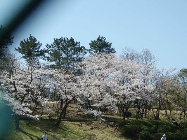 f0130894_21113670.jpg