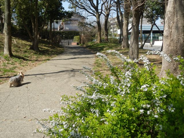 f0130894_21121879.jpg