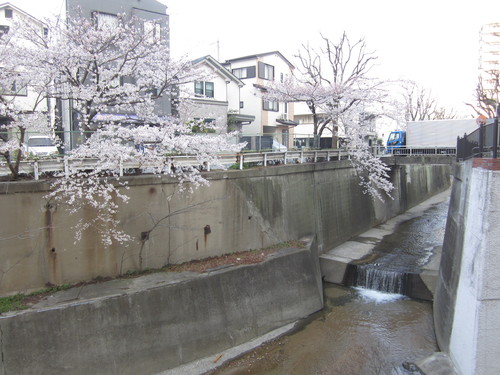 f0013998_16444670.jpg