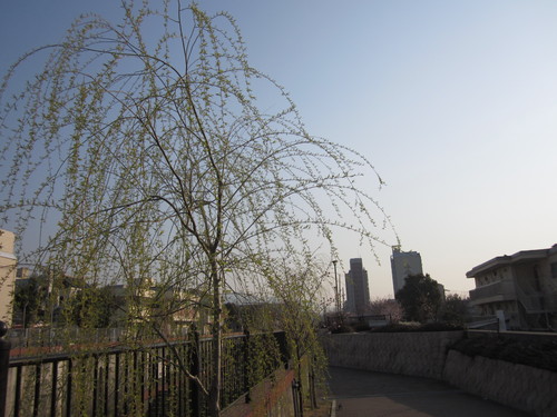 f0013998_16445360.jpg