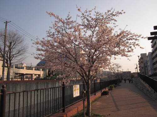 f0013998_16451599.jpg