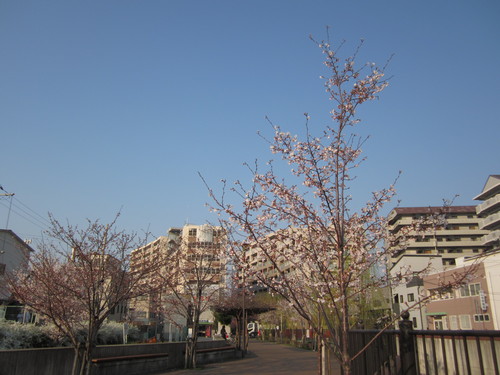 f0013998_1645182.jpg