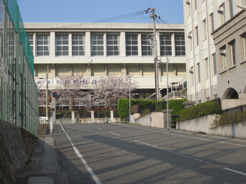 f0013998_16453351.jpg