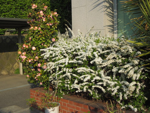 f0013998_16454975.jpg