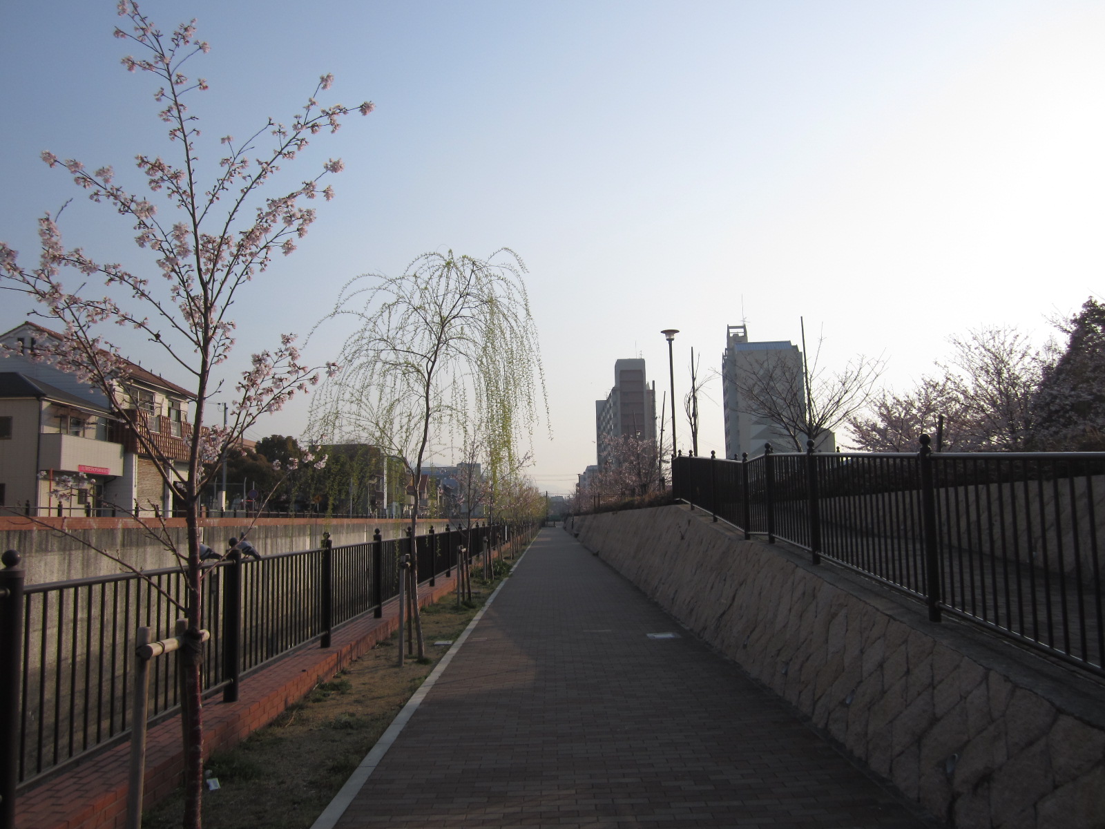 f0013998_164583.jpg