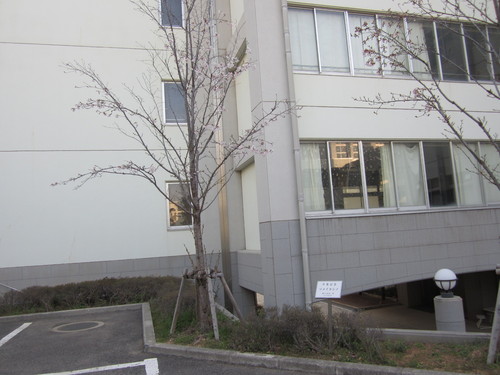 f0013998_16462176.jpg