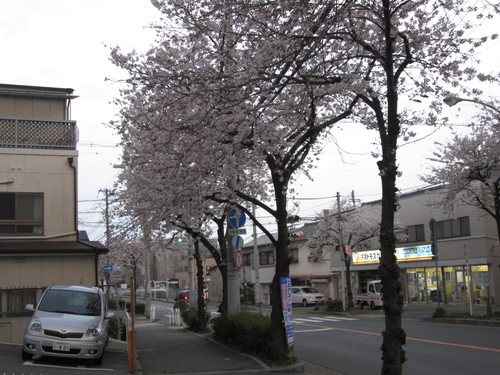 f0013998_19174686.jpg