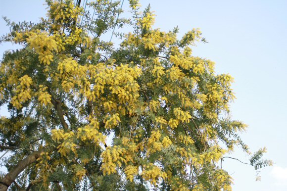 c0050400_07162.jpg