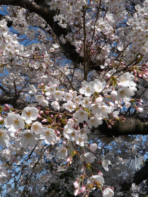 c0220700_2130128.jpg
