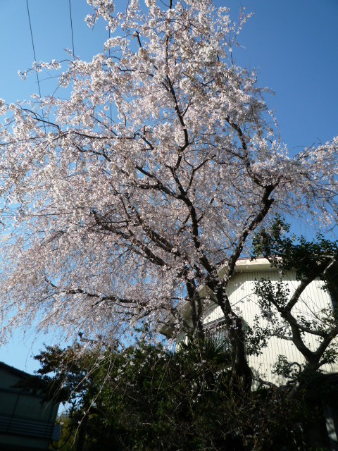 c0220700_21323692.jpg