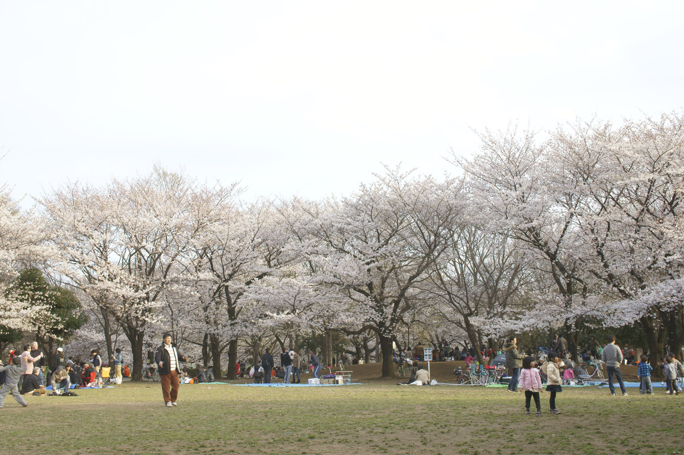 c0120903_16294149.jpg
