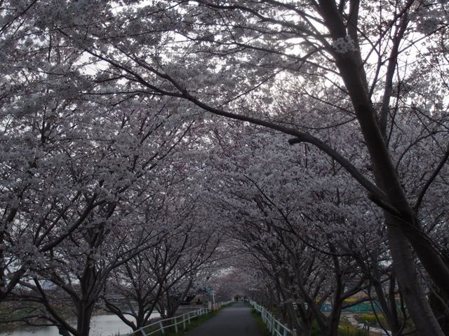 e0018604_21362610.jpg