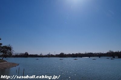 e0145805_18523780.jpg