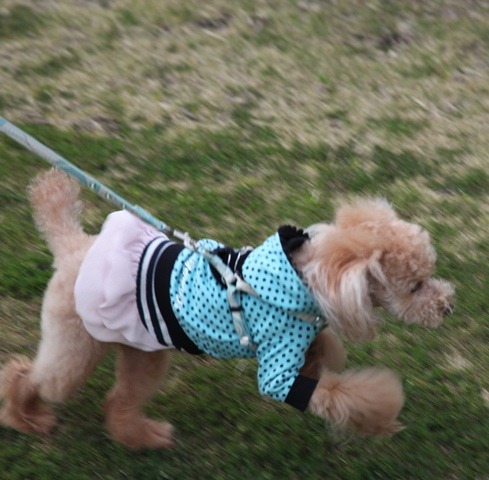 c0041207_186573.jpg