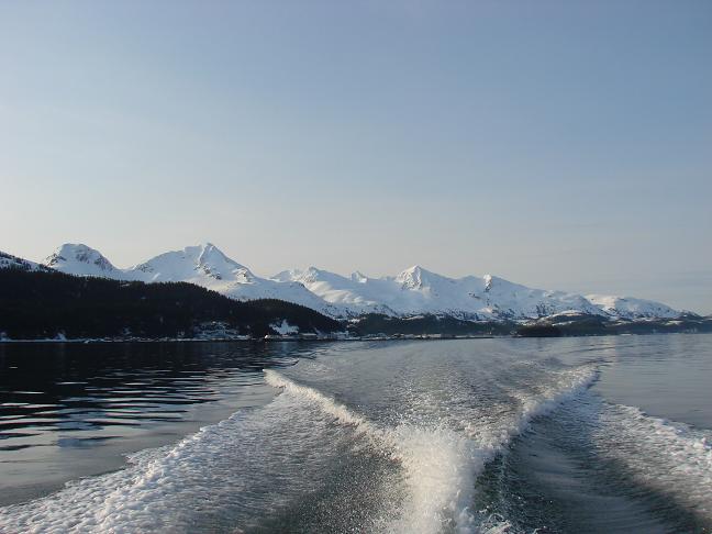 d0251307_122994.jpg