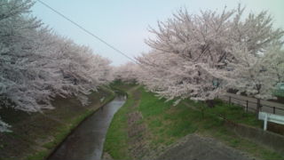 c0124908_16561712.jpg