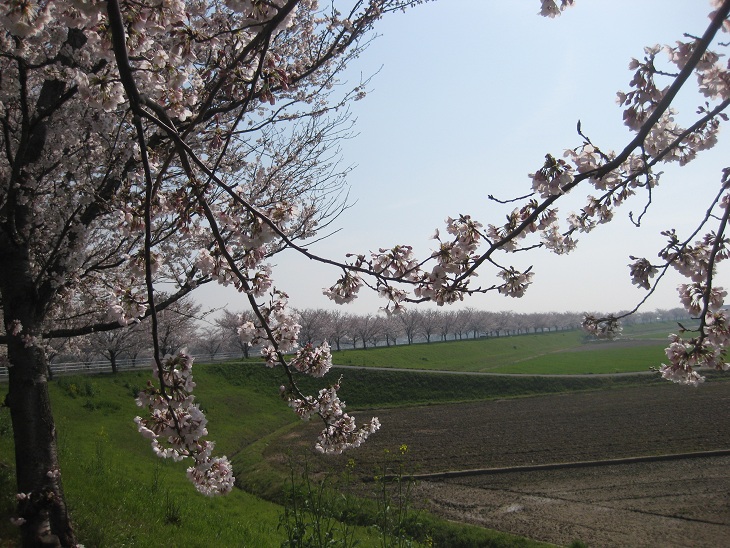 f0179209_1523576.jpg
