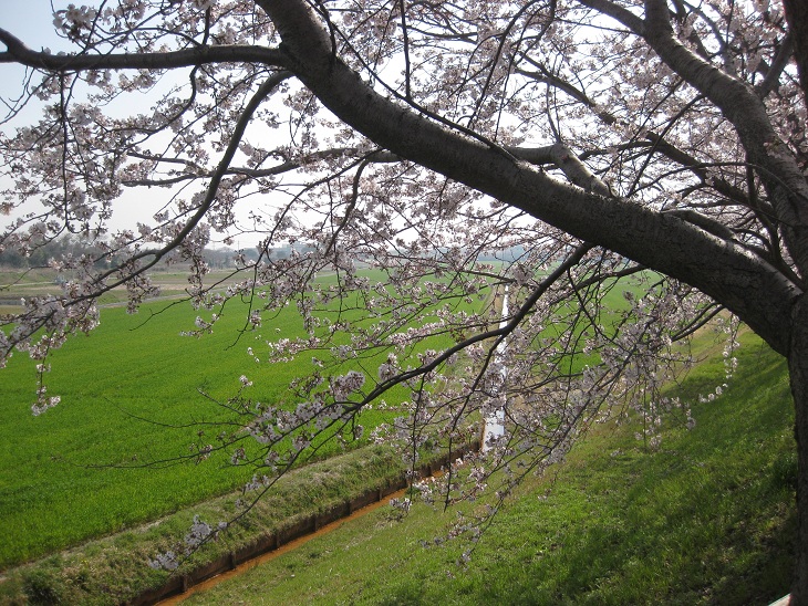 f0179209_15255513.jpg