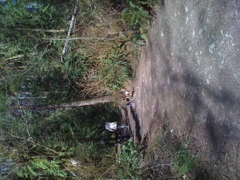 e0247410_10201317.jpg