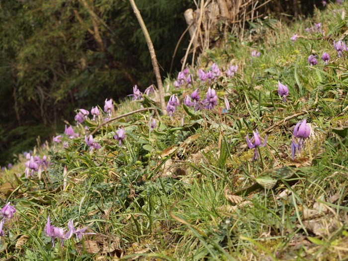 c0116915_0562976.jpg