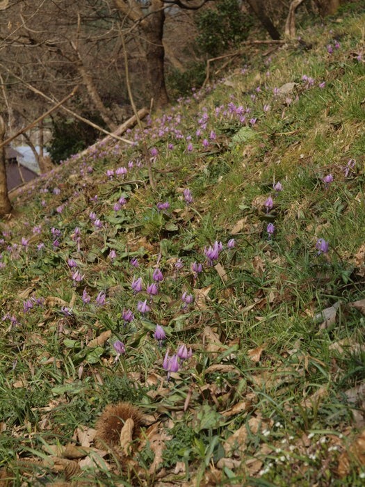 c0116915_056339.jpg