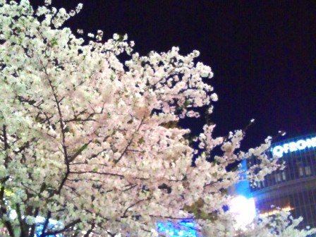 e0203415_0475691.jpg