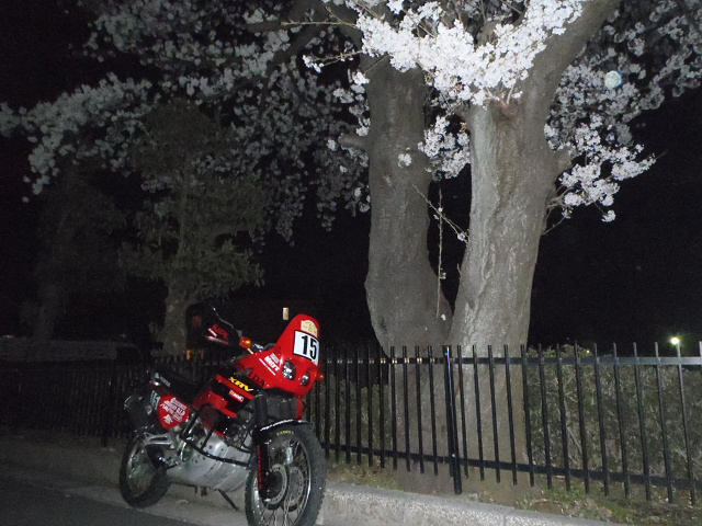 c0223419_215890.jpg