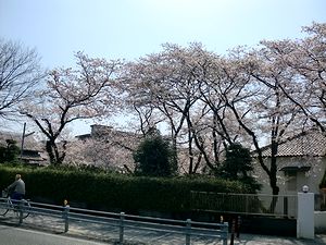 e0255020_0152262.jpg