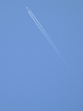 a0158321_10395686.jpg